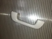 Front interior roof grab handle