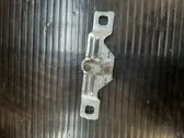 Loading door lock loop/hook striker