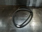 Rear door rubber seal (on body)