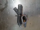 Thermostat/thermostat housing