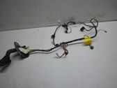 Front door wiring loom