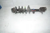 Front shock absorber with coil spring