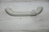 Front interior roof grab handle