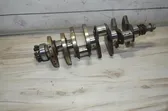 Vilebrequin du moteur