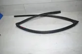 Front door rubber seal