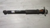 Rear shock absorber/damper