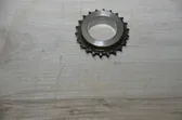 Timing chain sprocket