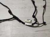 Cableado de puerta trasera