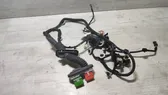 Front door wiring loom