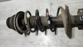 Front shock absorber/damper