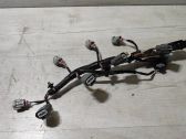Other wiring loom