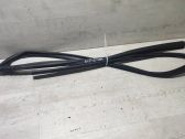 Rubber seal front door window/glass