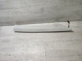 (A) pillar trim