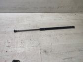 Tailgate/trunk strut/damper