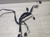 Other wiring loom