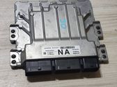 Engine control unit/module ECU