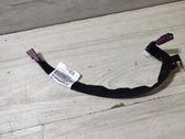 Other wiring loom