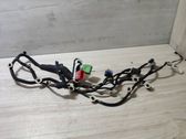 Front door wiring loom