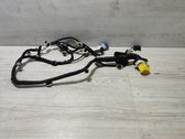 Rear door wiring loom