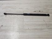 Front bonnet/hood damper/strut