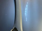 (A) pillar trim