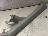 (A) pillar trim