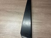 Other front door trim element