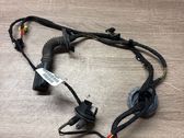 Front door wiring loom