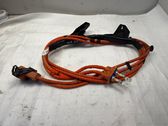 Electric car charging cable