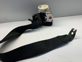 Cinturón trasero