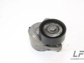 Lichtmaschine Riemenspanner Spannrolle Keilrippenriemen Keilriemen