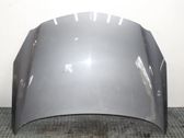 Motorhaube