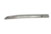 Rear fender molding trim