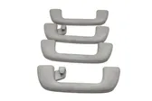 A set of handles for the ceiling