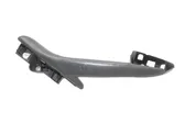 Other front door trim element