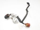 Other wiring loom