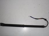 Tailgate/trunk strut/damper