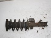 Front shock absorber/damper