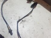 Lambda probe sensor