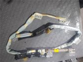 Rear door airbag