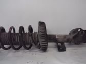 Front shock absorber with coil spring