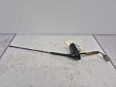 Antena de radio