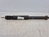Rear shock absorber/damper