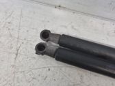 Tailgate/trunk strut/damper