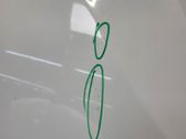 Engine bonnet/hood