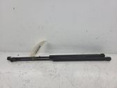 Tailgate/trunk strut/damper