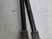 Tailgate/trunk strut/damper