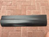 Rear door trim (molding)