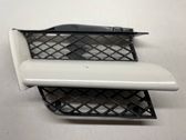 Front bumper upper radiator grill