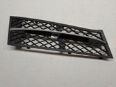 Front bumper lower grill